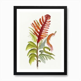 Cinnamon Fern Wildflower Watercolour 2 Art Print