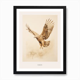 Vintage Bird Drawing Eagle 2 Poster Art Print