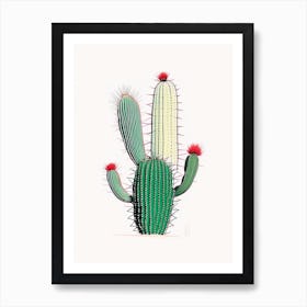 Notocactus Cactus Minimal Line Drawing Art Print