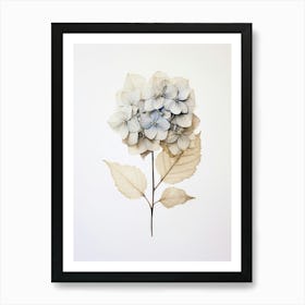 Pressed Flower Botanical Art Hydrangea 1 Art Print