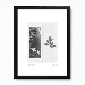 Jasmine Botanical Collage 2 Art Print