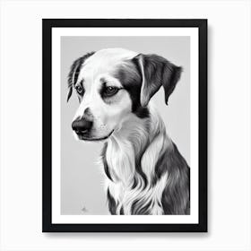 Irish Red And White Setter B&W Pencil Dog Art Print
