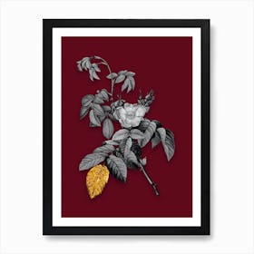 Vintage Apple Rose Black and White Gold Leaf Floral Art on Burgundy Red n.0504 Art Print