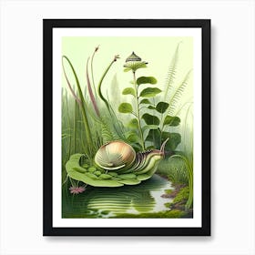 Garden Snail In Marshes Botanical Art Print