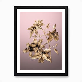 Gold Botanical Lavatera Phoenicea on Rose Quartz n.4086 Art Print