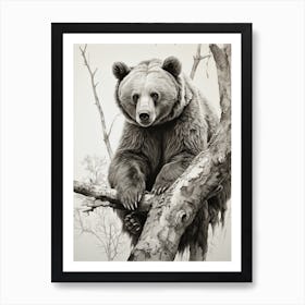 Bear In Tree Art Print