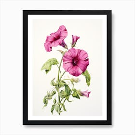 Petunias Flower Vintage Botanical 0 Art Print