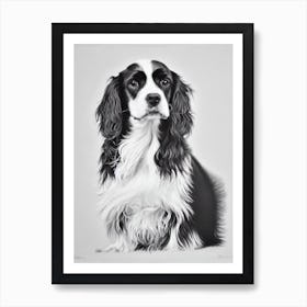 Spaniel (Field) B&W Pencil Dog Art Print