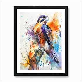 Falcon Colourful Watercolour 2 Art Print