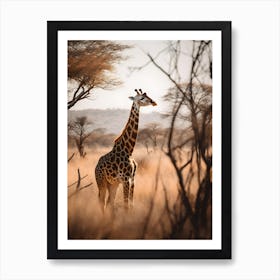 Giraffe In The Savannah Art Print