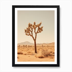  Photograph Of A Joshua Tree In A Sandy Desert 2 Art Print