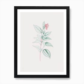 Peppermint Floral Minimal Line Drawing 1 Flower Art Print