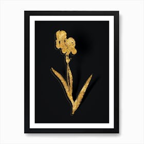 Vintage Tall Bearded Iris Botanical in Gold on Black n.0194 Art Print