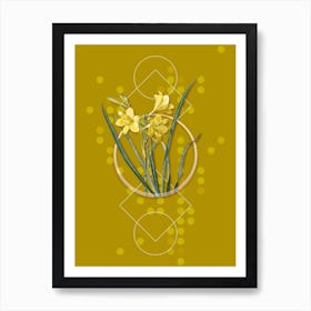 Vintage Daylily Botanical with Geometric Line Motif and Dot Pattern n.0210 Art Print