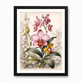 Orchids 4 Art Print