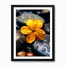 Flower In Water Art Print