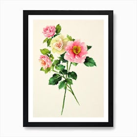 Bourvardia Vintage Flowers Flower Art Print