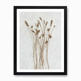 Botanicals From The Field Art Print