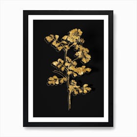 Vintage Scorpion Vetch Plant Botanical in Gold on Black n.0586 Art Print