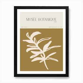 Musee botanique no 40 Art Print
