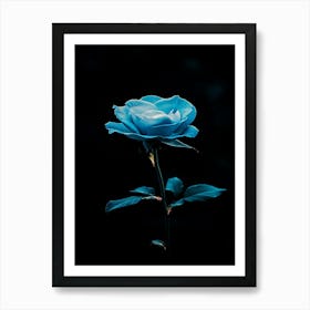 Blue Rose 1 Art Print