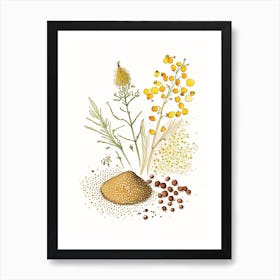 Mustard Seeds Spices And Herbs Pencil Illustration 6 Art Print