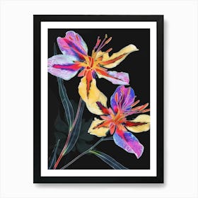 Neon Flowers On Black Portulaca 4 Art Print