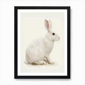 Florida White Rabbit Kids Illustration 2 Art Print