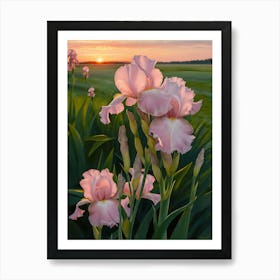 Sunset Iris Art Print