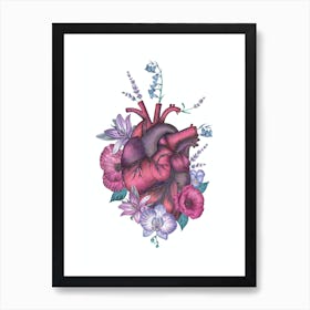 Anatomical Heart Pink Purple Art Print