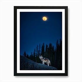 Wolf In The Moonlight 4 Art Print