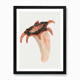 Octopus 1 Art Print