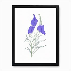 Canterbury Bell Floral Minimal Line Drawing 3 Flower Art Print