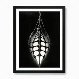 Spider Web Art Print