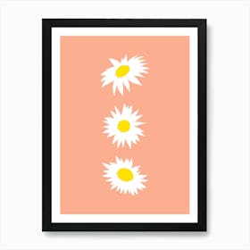 Daisies on a Peach Background Art Print