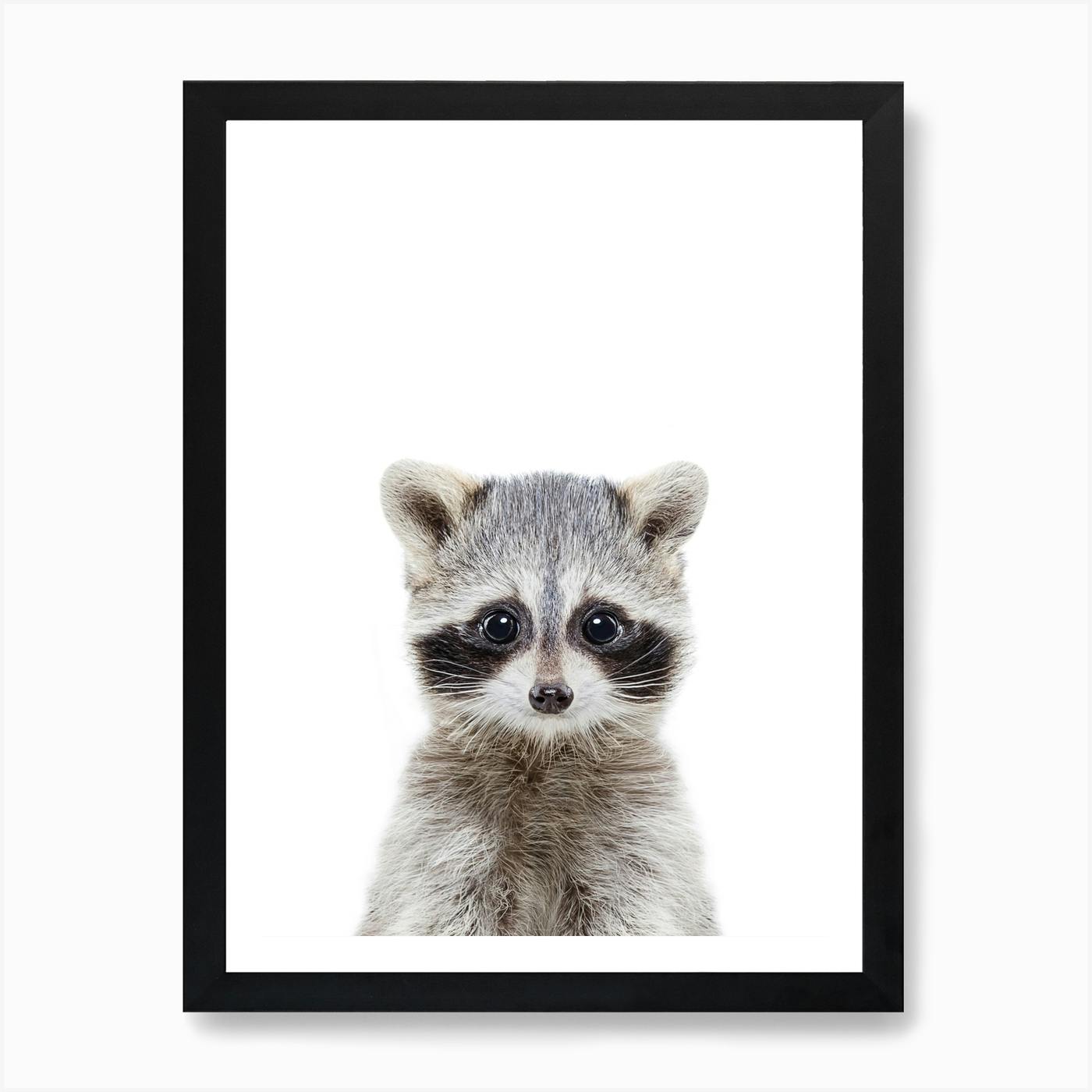 Racoon Portrait Canvas Picture Giclee Print Unframed Home Decor Wall Art