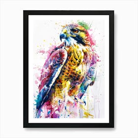 Hawk Colourful Watercolour 4 Art Print