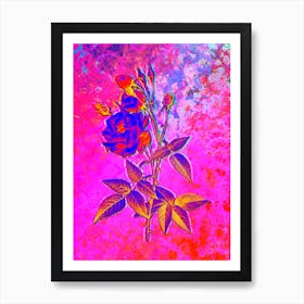 Common Rose of India Botanical in Acid Neon Pink Green and Blue n.0045 Art Print