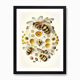 Colony Of Bees 5 Vintage Art Print