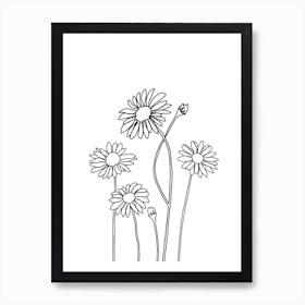 Daisies Drawing Art Print