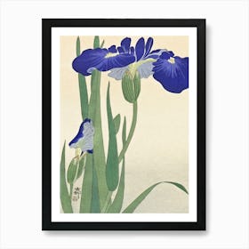 Blue Irises (1900 1930), Ohara Koson Art Print