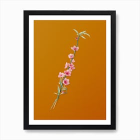 Vintage Peach Blossoms Botanical on Sunset Orange n.0640 Art Print