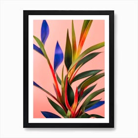 Sansevieria Colourful Illustration Art Print