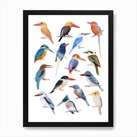 Kingfisher Birds Blue & Orange Art Print