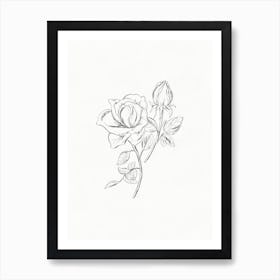 Roses In Pencil Art Print