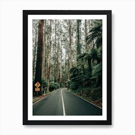 Endless Road Of Black Spur In Australia Art Print