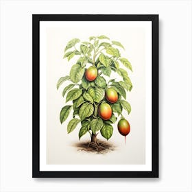 Avocado plant drawing Art Print
