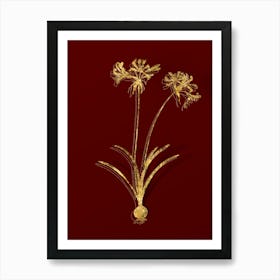 Vintage Nerine Botanical in Gold on Red n.0559 Art Print