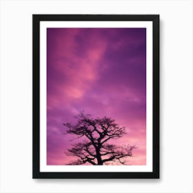 Silhouette Of A Tree At Sunset Poster