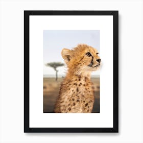 Cheetah Cub Art Print